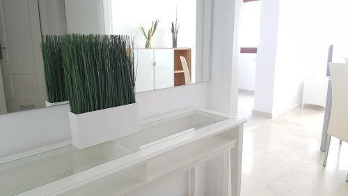 Apartamento Parque Bulevar