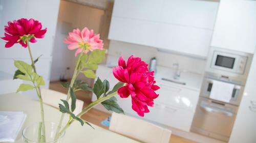 Apartamento Fonte Santo Antonio & Comoencasa