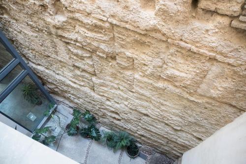 Apartamento Luxury Loft Seville