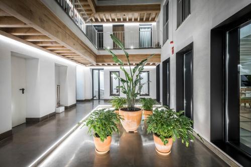 Hotel Casa De Indias By Intur