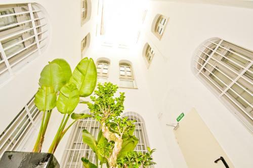 Apartamento Ninesuites