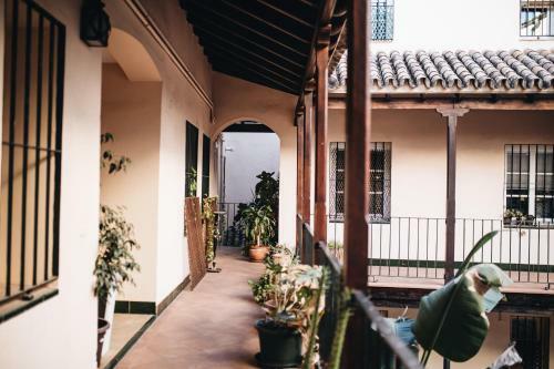Apartamento Cathedral, Arenal II
