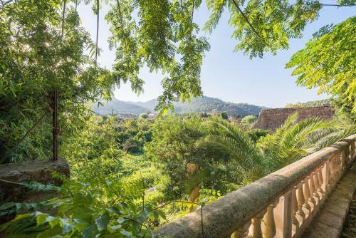 A Baix Des Puig