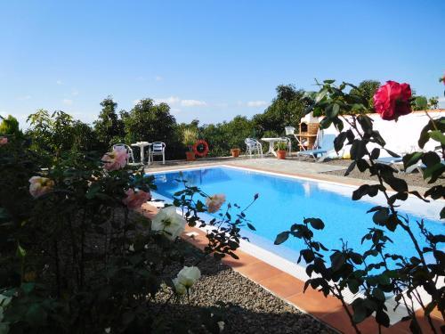 Agroturismo Las Casitas De Tijarafe
