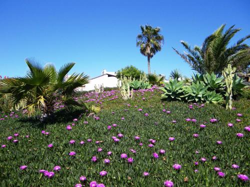 Agroturismo Bodega