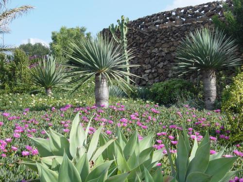 Agroturismo Bodega