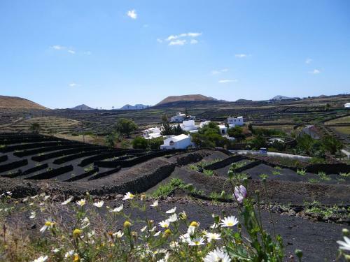 Agroturismo Bodega