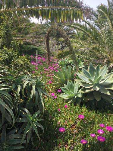 Agroturismo Bodega