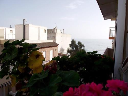 Apartamento Alegria Id63