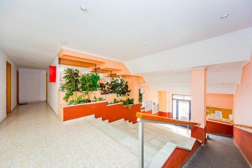 Apartamento Alegria Id128