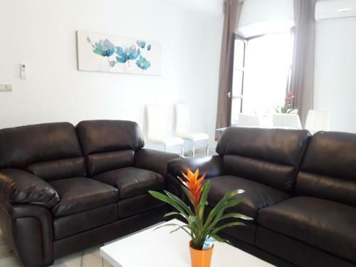 Apartamentos Sol Real 1