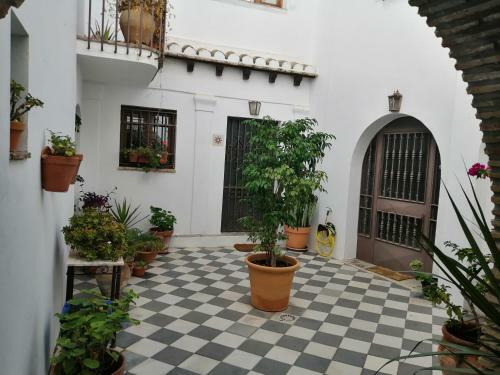 Agroturismo La Guarida De Vejer Casa Rural