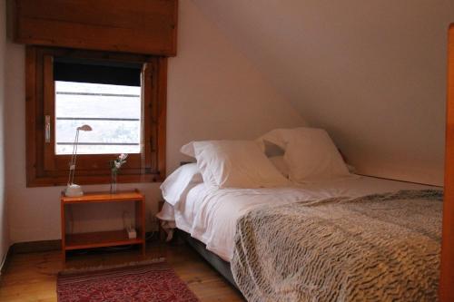 Apartamento Vielha IX
