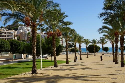 Ibg Apartment Vila Park