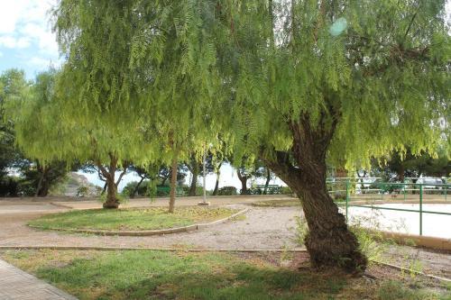 Apartamento Sainvi 74a