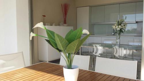 Apartamento Azalea