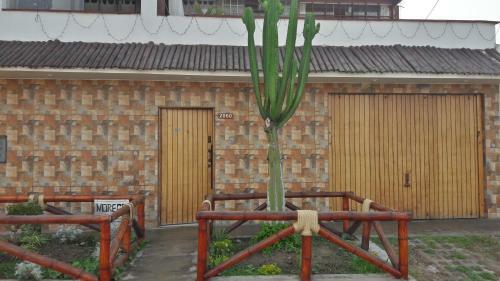 Hostal Hospedaje Playa Arica