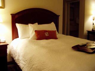 Hotel Hampton Inn & Suites Lafayette La