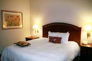 Hotel Hampton Inn & Suites Lafayette La