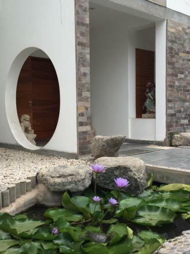 Zen Garden House