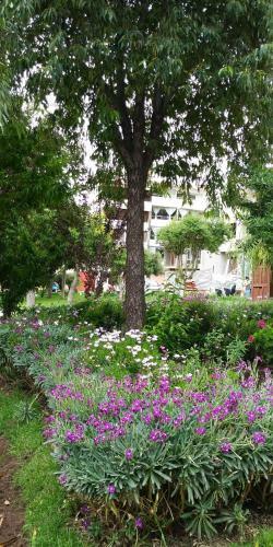Terrazas Inn Aparts