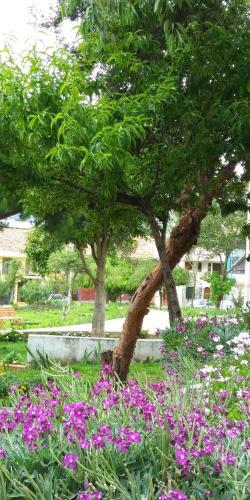Terrazas Inn Aparts
