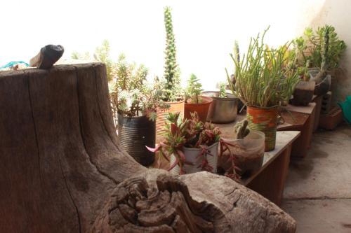 Posada Namaste House