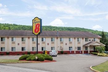 Hotel Super 8 Sidney Ny