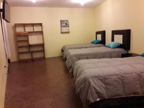 Hostal Tete's House