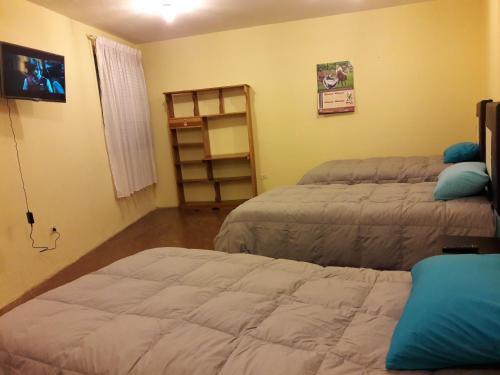 Hostal Tete's House