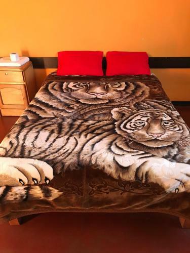 Posada Tour Hostal Wanka