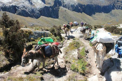Vacahouse Huaraz B&B