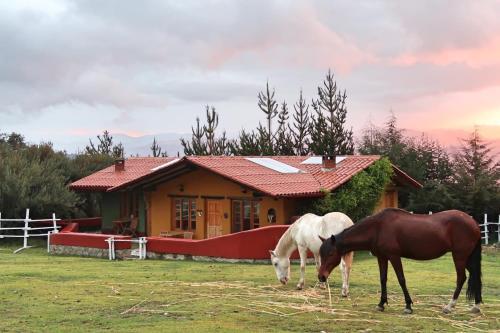 The Lazy Dog Inn A Mountain Lodge