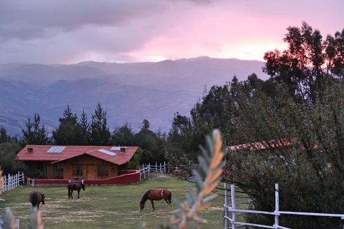 The Lazy Dog Inn A Mountain Lodge