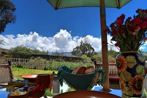 The Lazy Dog Inn A Mountain Lodge
