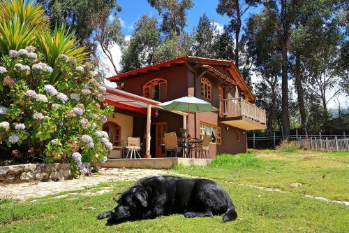 The Lazy Dog Inn A Mountain Lodge
