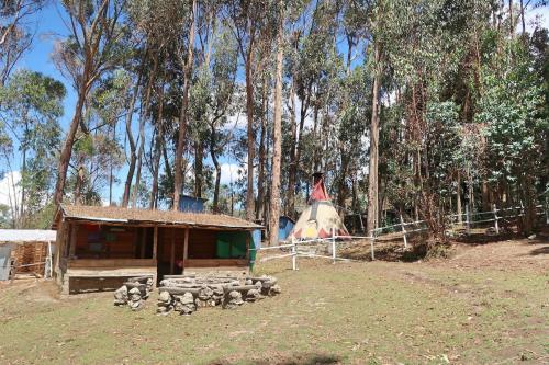 The Lazy Dog Inn A Mountain Lodge