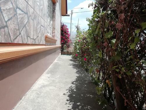 Bed & Breakfast Tere�s House