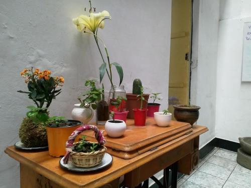 Bed & Breakfast Hostal Campo Base Huaraz