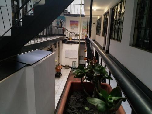 Bed & Breakfast Hostal Campo Base Huaraz