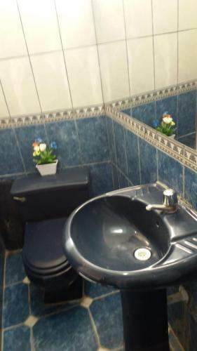 Hosp�date En Ica