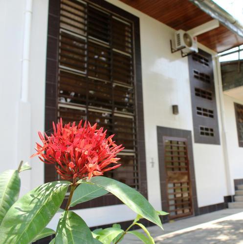 Aparta-hotel Riomar
