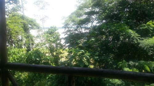 Lodge Amazonian Trails