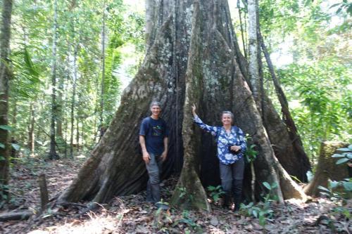 Jibaro Tours & Expeditions - Lodge