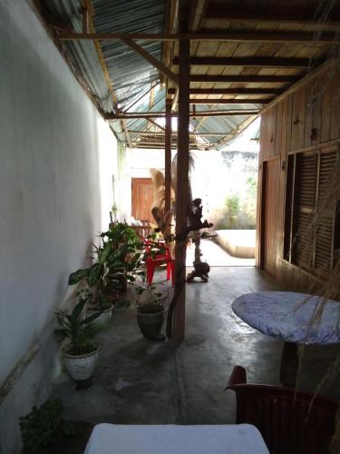 Casa Begonia