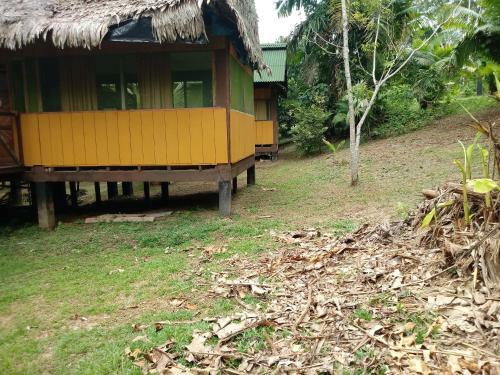 Lodge Amazon Hostal Tours