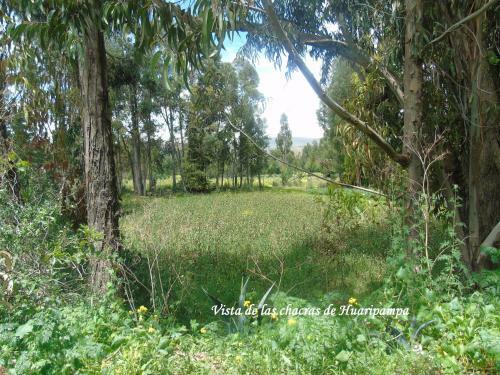 Agroturismo Pousada Villa Huaripampa