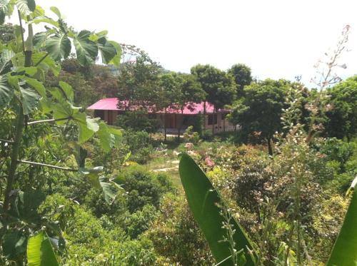 Agroturismo Lamas Tarapoto Per� Casa de Campo