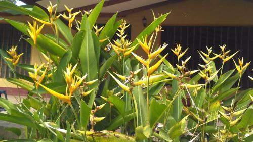 Agroturismo Lamas Tarapoto Per� Casa de Campo