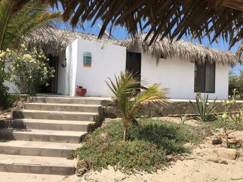 Verano 365 House
